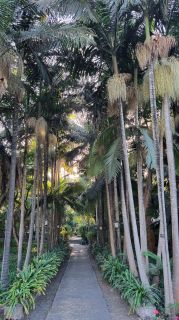 2024-01-GranCan-Jardin_de_la_Marquesa-060.jpg